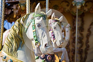 Horses carousel
