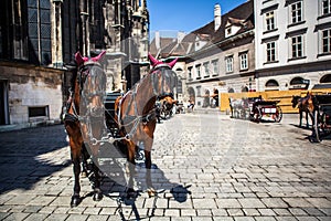 horses and carriage on historic centre square