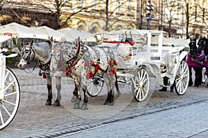 horses with carriage on the main square of Krakow