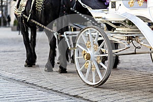 horses with carriage on the main square of Krakow