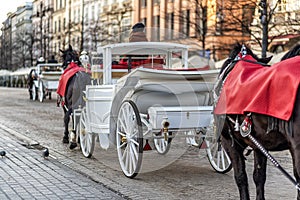 horses with carriage on the main square of Krakow