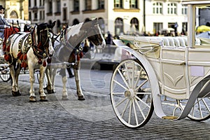 horses with carriage on the main square of Krakow