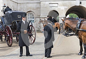 Horses and coachmen