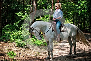 Horses concept, hippotherapy at rancho