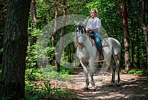 Horses concept, hippotherapy at rancho