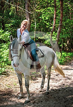 Horses concept, hippotherapy at rancho