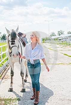 Horses concept, hippotherapy at rancho