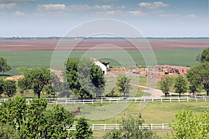 Horses in corral farmland