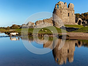 Horses crossing a river next to the ruins of an ancient castle. Ogmore Castle,Wales