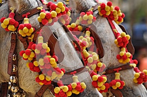 Horses decked in fair