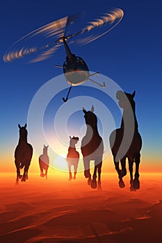 Horses in the desert.