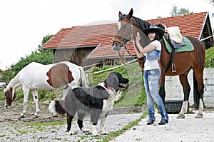 With horses and dog photo