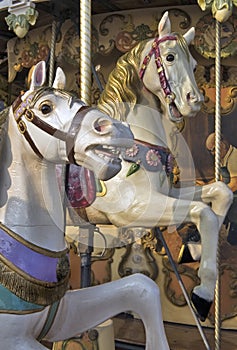 Horses on fairground carousel