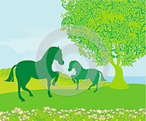 Horses in field