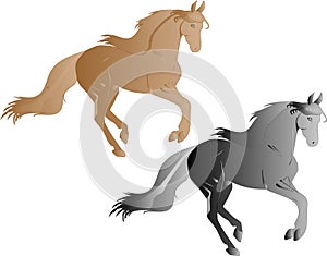 Horses galloping illustration