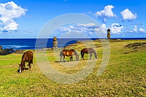 Horses grazing at Ahu Tahai and Ahu Ko Te Riku photo
