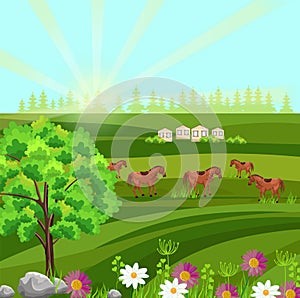 Horses on a green field Vector. Farm ville sunny summer day backgrounds