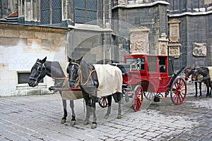 Horses and Horse Coach