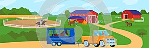 Horses at horse farm country summer rural landscape vector illustration. Ranch field with fence, meadow and horses.