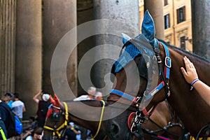 Horses infront of Pantheon roman temple and catholic church in rome Italy.