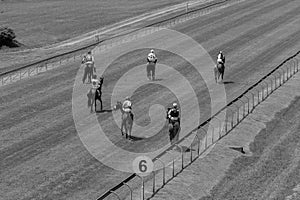Horses Jockeys Track Black White Vintage