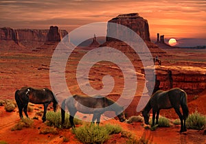 Horses at John Ford`s Point Overlook in Monument Valley Tribal Park, Arizona USA