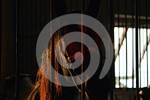 Horses locked in a stall at evening