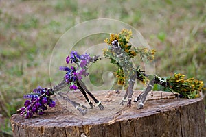 Horses, made of branches and flowers