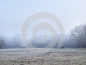 horses and manor beukenrode near doorn in winter morning mist