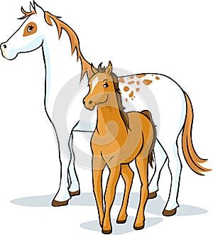 Horses - mare and foal, vector