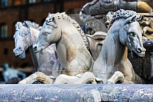 Horses of Neptune fountain in Florence