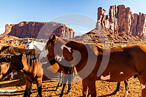 Horses in Pen in Monument Valley, Utah