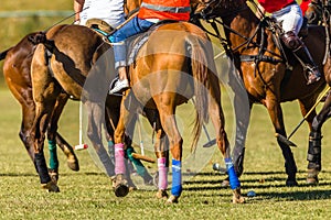 Horses Polo Players Bunched Field Abstract