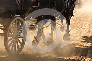 Horses Pulling Wagon