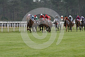Horses racing