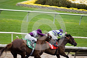 Horses Racing at Track