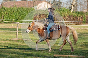 Horses run free