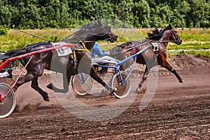 Horses run at high speed along the track of the racetrack.