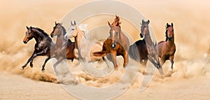 Horses run photo