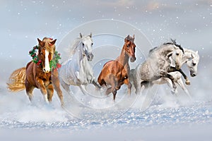 Horses run in snow. Christmas image