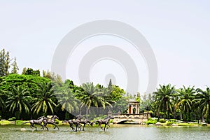 Horses run on water, Assumption University,thailand.