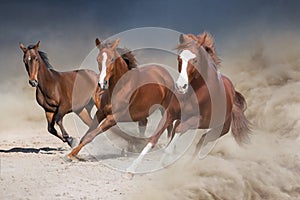Horses running in desert