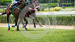 Horses running past on the racetrack