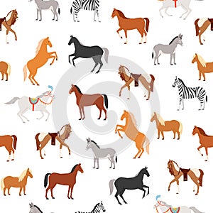 Horses seamless pattern vector illustration, cartoon flat herbivorous ungulates includes horse, pony, zebra donkey