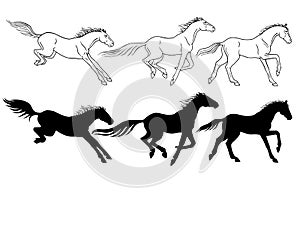 Horses. Set of linear and silhouette horses. Three galloping horses.