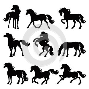 Horses silhouette collection, isolated icon set