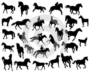 Horses silhouettes