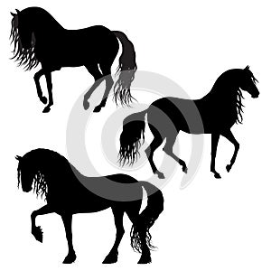 Horses silhouettes isolated