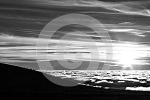 Horses silhouettes on a mountain over a sea of fog