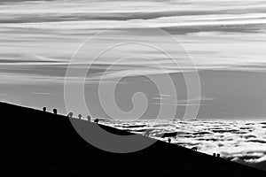 Horses silhouettes on a mountain over a sea of fog